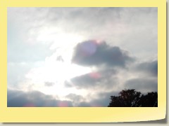 DSCN6919