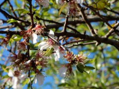 DSCN5442 ®©z11made.nl vanuit de bus 