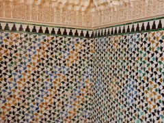 DSCN5530®© z11made.nl/ Dagtocht  Granada / Alhambra