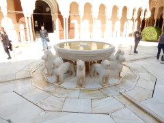 DSCN5549®© z11made.nl/ Dagtocht  Granada / Alhambra