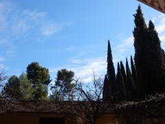 DSCN5573®© z11made.nl/ Dagtocht  Granada / Alhambra