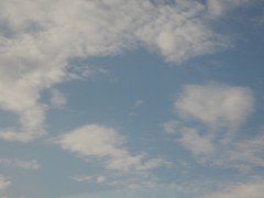 DSCN5579®© z11made.nl/ Dagtocht  Granada / Alhambra