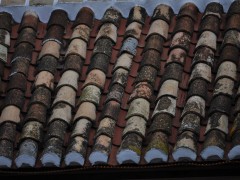 DSC_5453®© GosGerBo