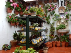 DSCN5369®©z11made.nl