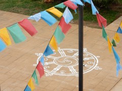 DSCN5338®© z11made.nl/GosGerBo