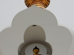 DSCN5340®© z11made.nl/GosGerBo