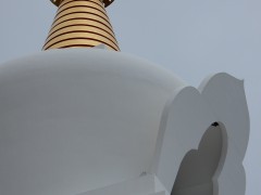 DSCN5343®© z11made.nl/GosGerBo