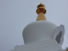 DSCN5345®© z11made.nl/GosGerBo