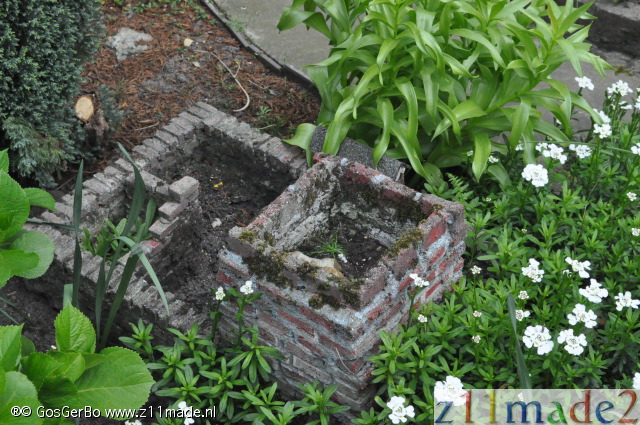 dsc_4016.jpg