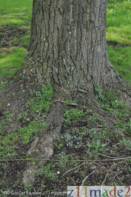 dsc_4059.jpg