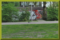 DSC_4042.JPG