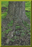 DSC_4059.JPG