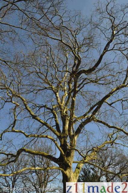 dsc_3892.jpg
