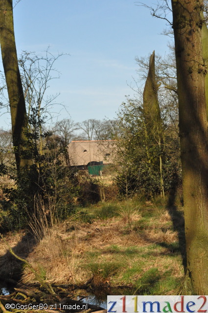 dsc_3916.jpg