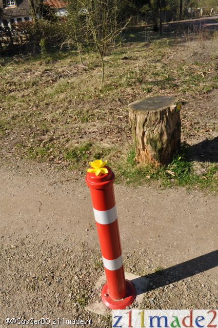 dsc_3922.jpg