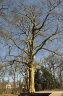 DSC_3893.JPG