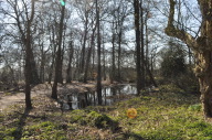 DSC_3895.JPG