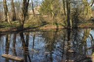 DSC_3898.JPG