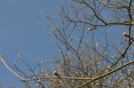 DSC_3913.JPG