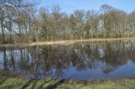 DSC_3919.JPG