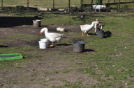 DSC_3926.JPG