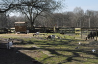 DSC_3931.JPG