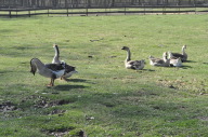DSC_3937.JPG